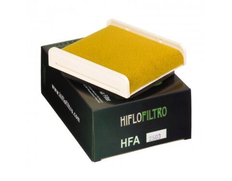 Filtre à air HFA2503 pour GPZ500 (90-03)